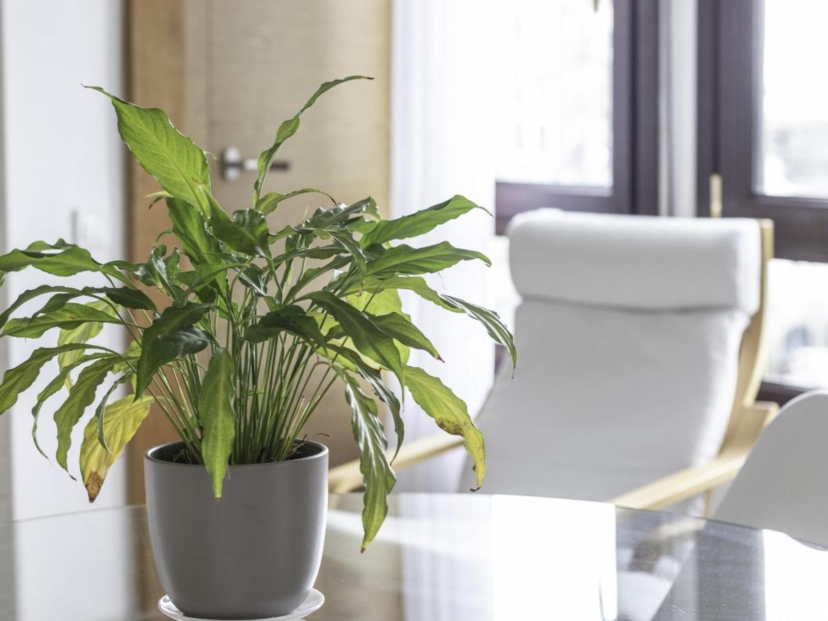 Politxe By Kabia Gestion Apartment Бермео Екстериор снимка